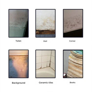 Mistfall PureGuard Anti-Mold Foam